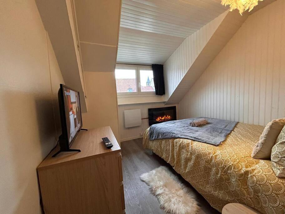 Apartment Sur Les Toits D'a Cote, Centre Ville, Wifi Montbéliard